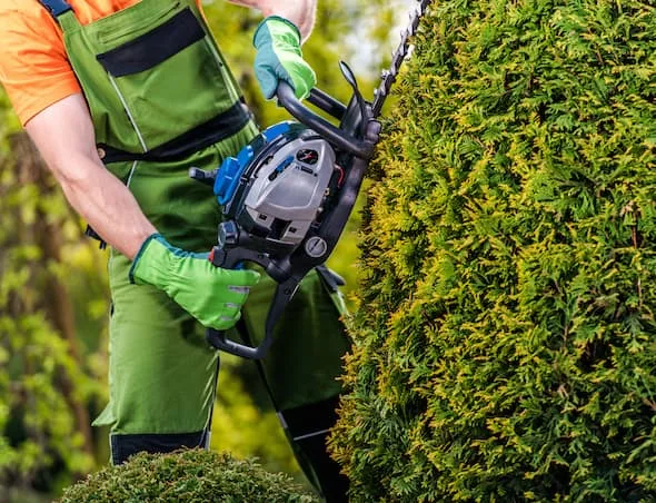 Giardiniere al lavoro